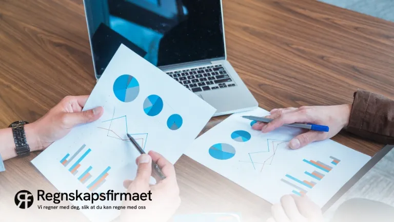 Konsulenttjenester innen regnskap