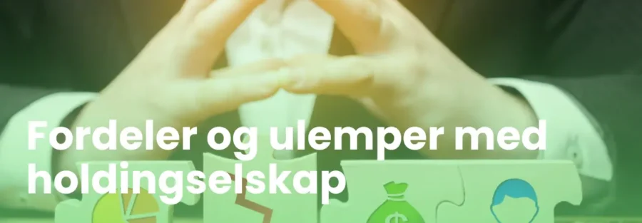 fordeler og ulemper med holdingselskap