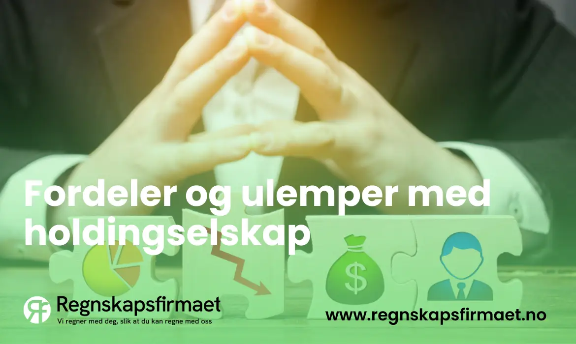 fordeler og ulemper med holdingselskap