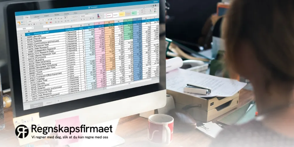 Eksempel regnskap skattemelding